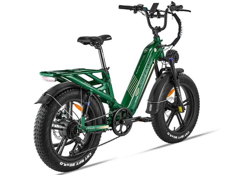 Rocky Pro A-320 - Freeskycycle eBike