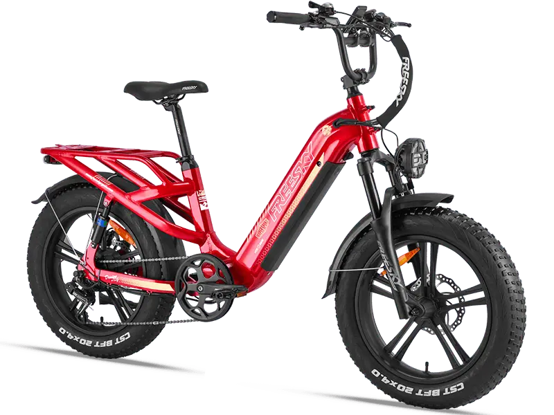 Rocky Pro A-320 - Freeskycycle eBike