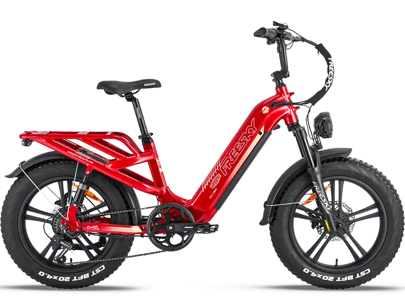 Rocky Pro A-320 - Freeskycycle eBike