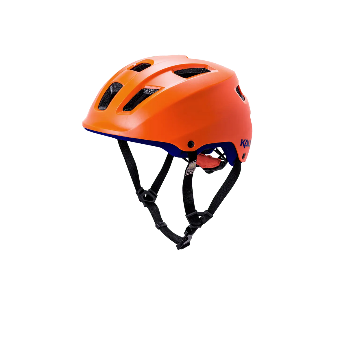 Ave Kali Protectives