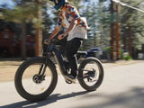 Warrior Pro M-530 - Freeskycycle eBike