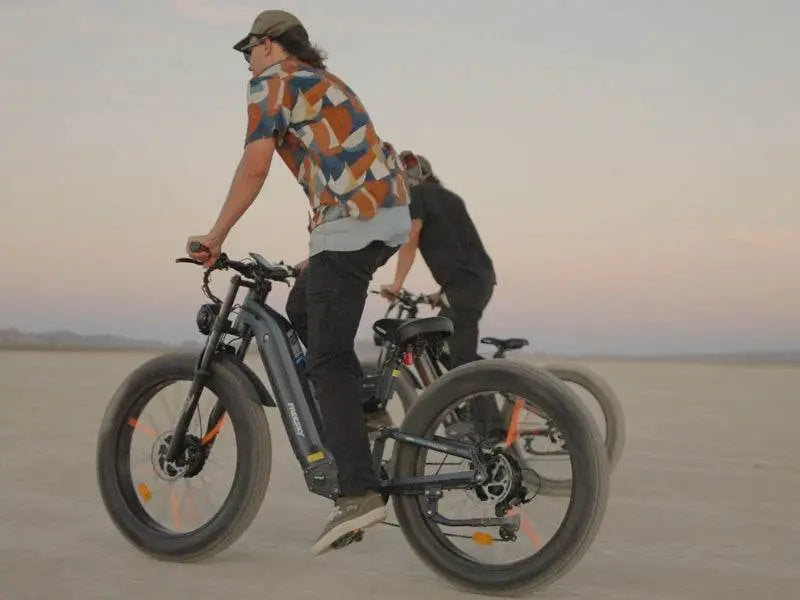 Warrior Pro M-530 - Freeskycycle eBike