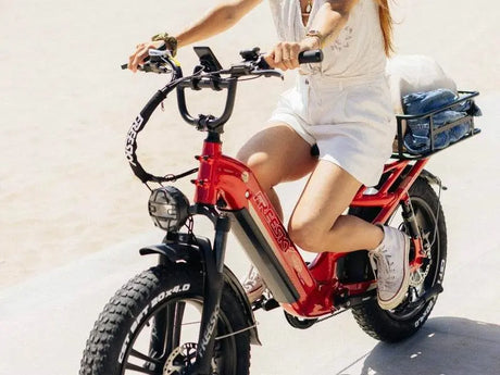 Rocky Pro A-320 - Freeskycycle eBike