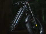 Ranger M-540 - Freeskycycle eBike