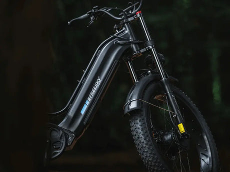 Ranger M-540 - Freeskycycle eBike