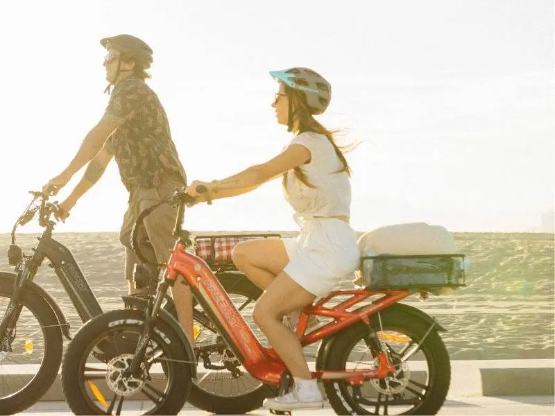 Rocky Pro A-320 - Freeskycycle eBike