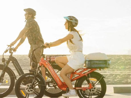Rocky Pro A-320 - Freeskycycle eBike