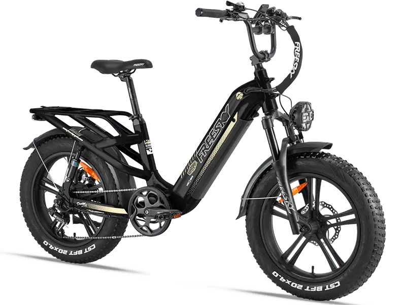 Used eBike - Freeskycycle eBike