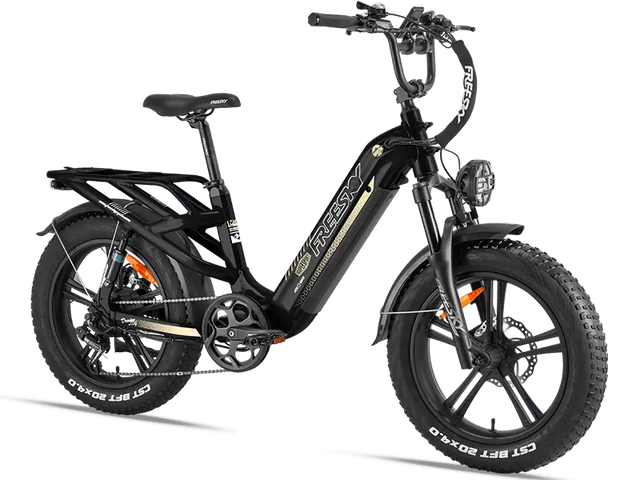 Used eBike - Freeskycycle eBike