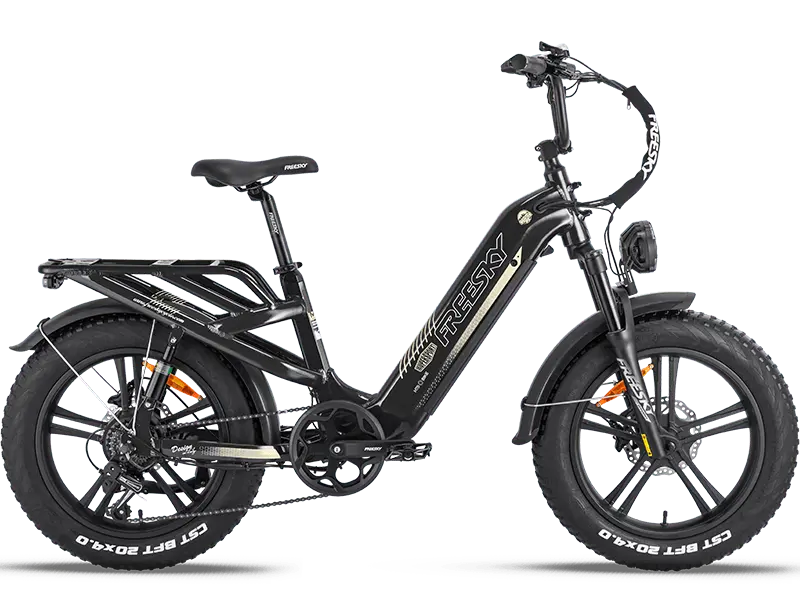 Rocky Pro A-320 - Freeskycycle eBike