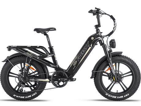 Rocky Pro A-320 - Freeskycycle eBike