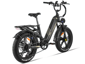 Rocky Pro A-320 - Freeskycycle eBike