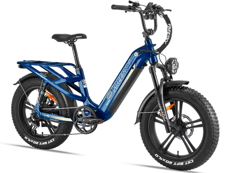 Rocky Pro A-320 - Freeskycycle eBike