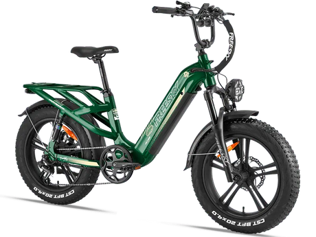Rocky Pro A-320 - Freeskycycle eBike
