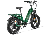 Rocky Pro A-320 - Freeskycycle eBike