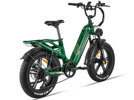 Rocky Pro A-320 - Freeskycycle eBike