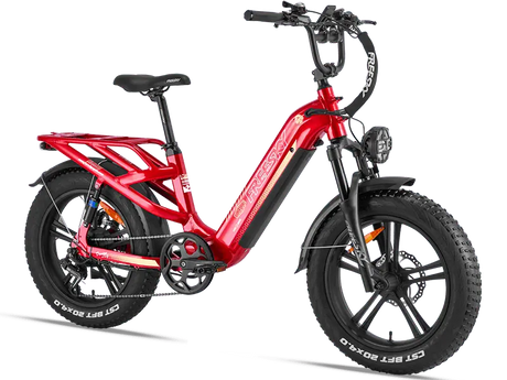 Rocky Pro A-320 - Freeskycycle eBike