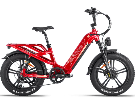 Rocky Pro A-320 - Freeskycycle eBike
