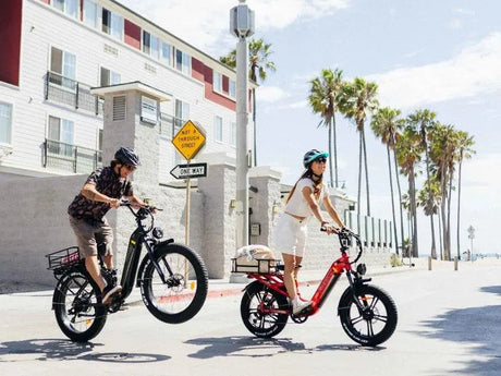 Rocky Pro A-320 - Freeskycycle eBike