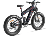 Alaska Pro M-520 - Freeskycycle eBike