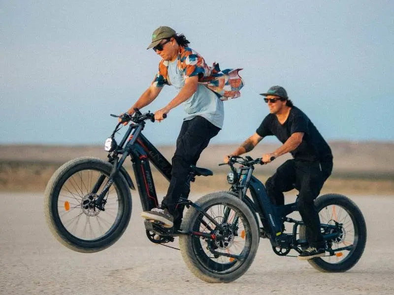Alaska Pro M-520 - Freeskycycle eBike