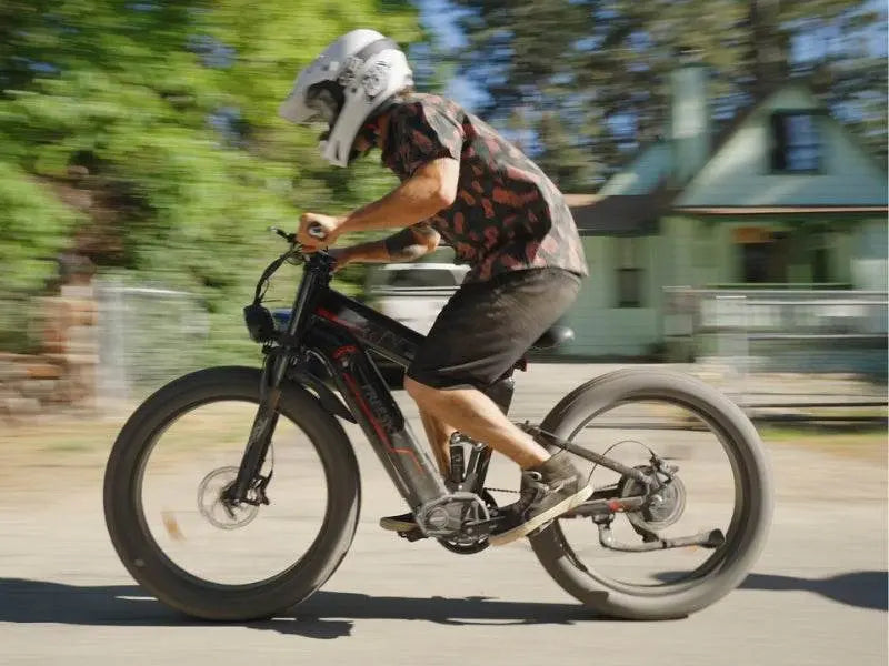 Alaska Pro M-520 - Freeskycycle eBike