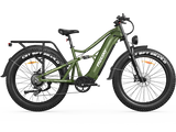 Freesky Swift Horse Ultra X-6E E-Bike
