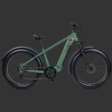 Retrospec Koa Rev+ 2 EBike