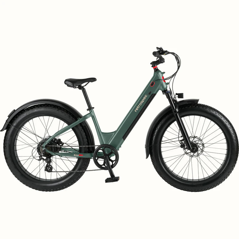 Retrospec Koa Rev 3 EBike - ST