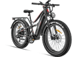 Used eBike - Freeskycycle eBike