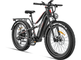 Used eBike - Freeskycycle eBike
