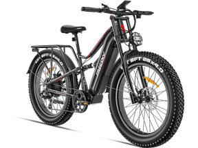 Used eBike - Freeskycycle eBike