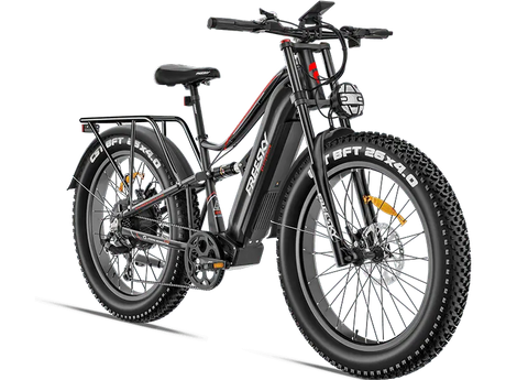 Used eBike - Freeskycycle eBike