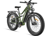Swift Horse Pro X-6E - Freeskycycle eBike