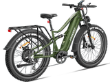 Swift Horse Pro X-6E - Freeskycycle eBike