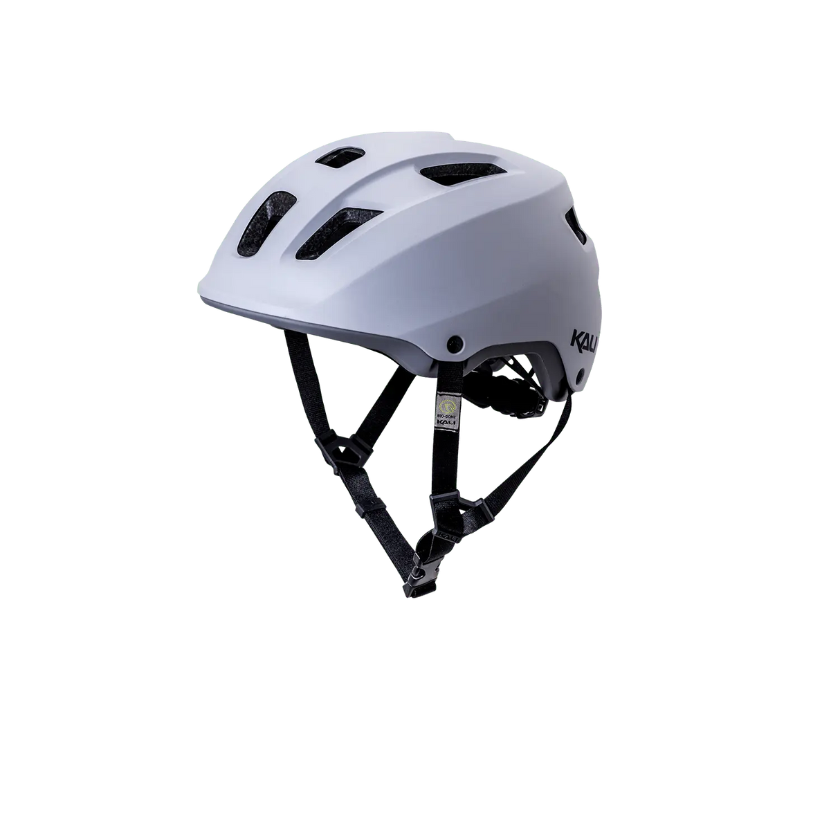Ave Kali Protectives