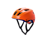 Ave Kali Protectives