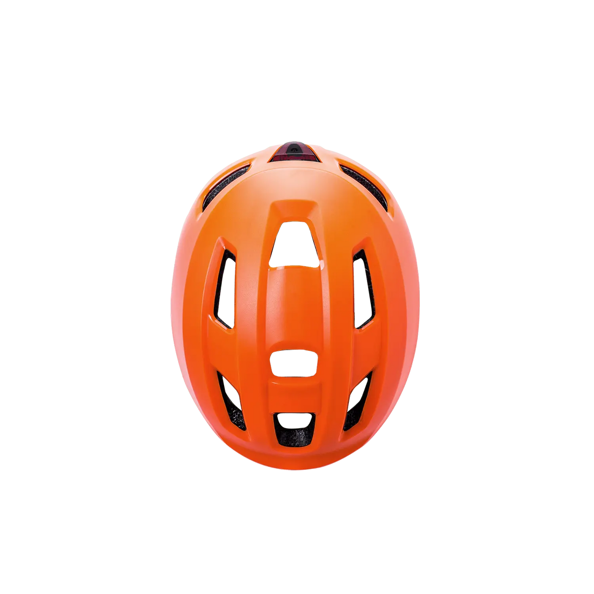 Ave Kali Protectives