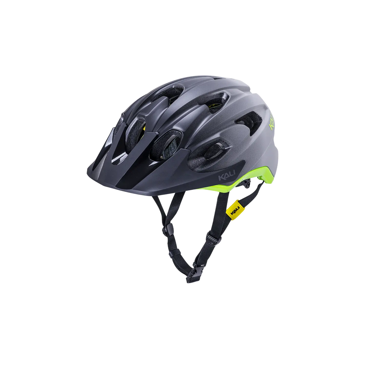 Pace Kali Protectives