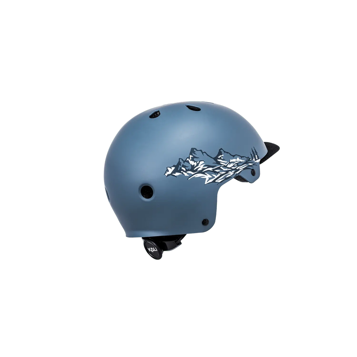 Saha Kali Protectives