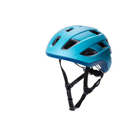Traffic Basic Kali Protectives