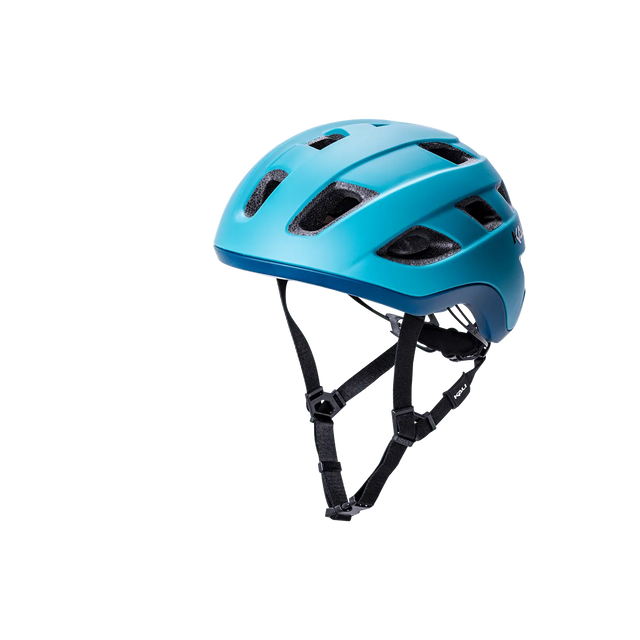 Traffic Basic Kali Protectives