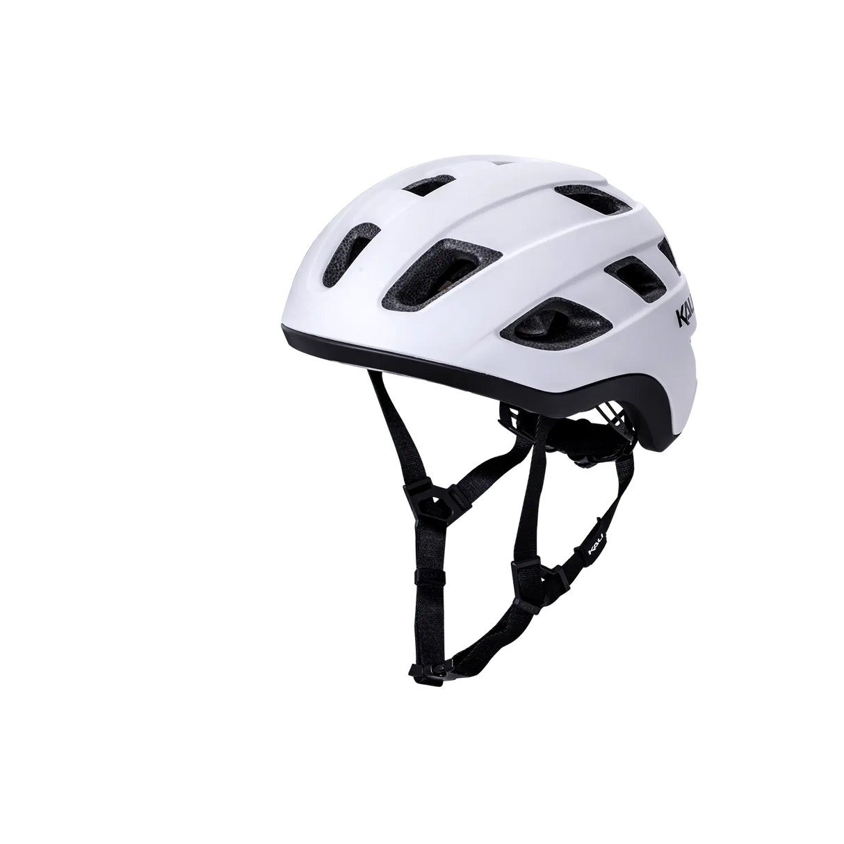 Traffic Basic Kali Protectives