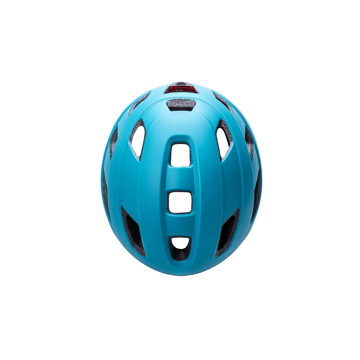 Traffic Basic Kali Protectives