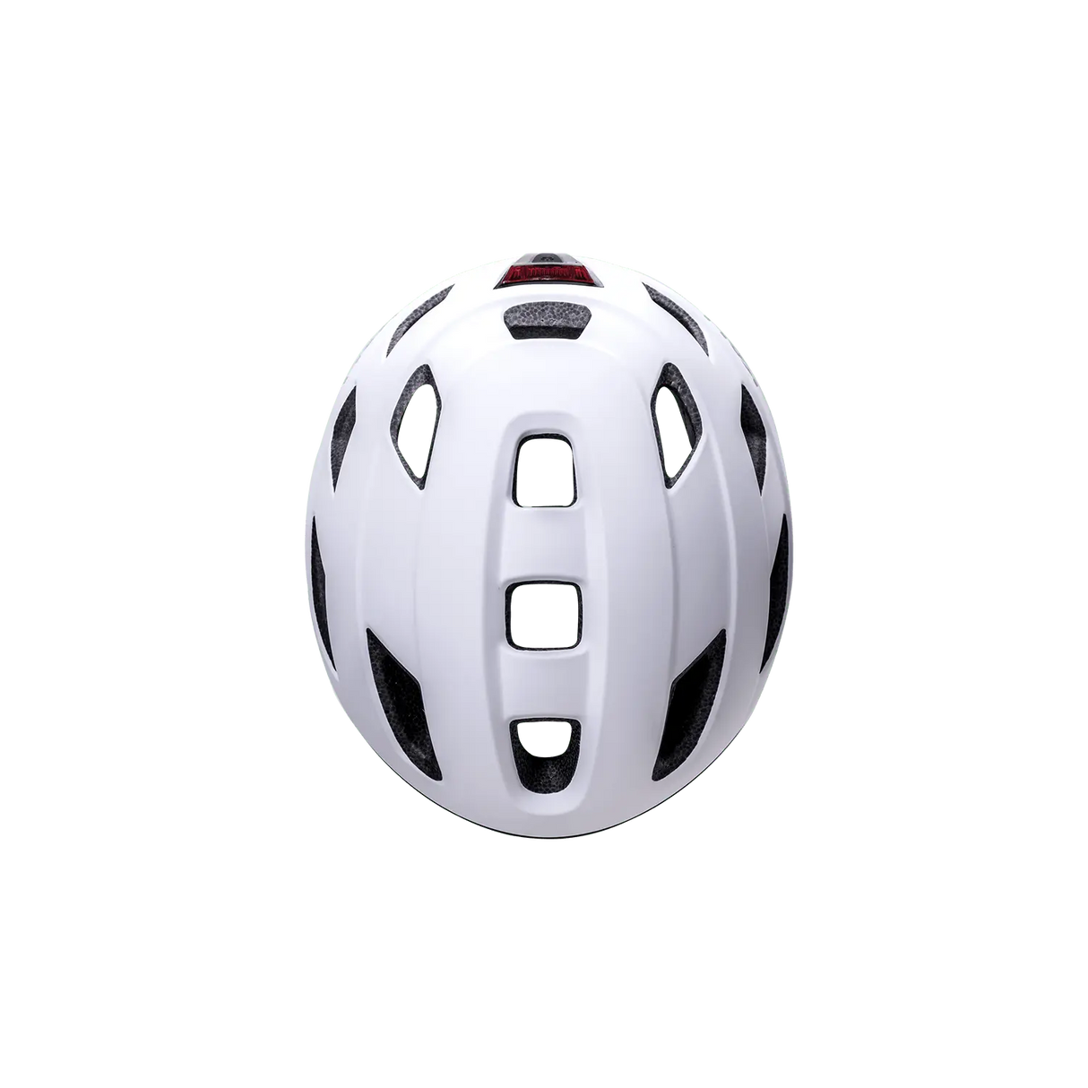 Traffic Basic Kali Protectives